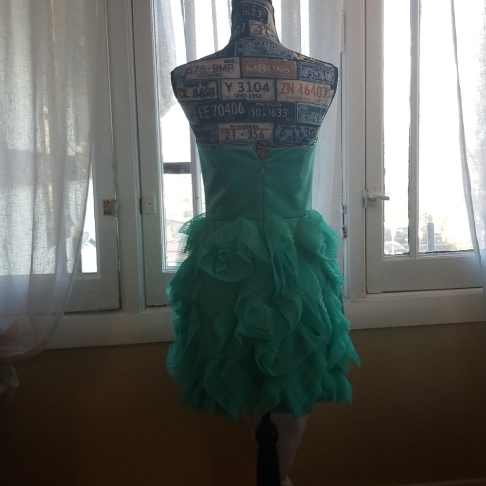 Dress - Picture 2 of 4